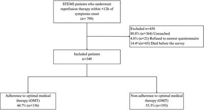 Adherence to optimal medical therapy and control of cardiovascular risk factors in patients after ST elevation myocardial infarction in Mexico